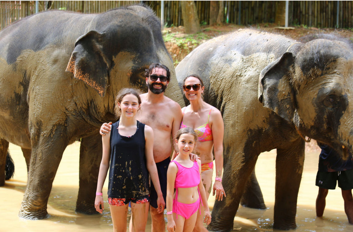 태국 푸켓 오리지날 코끼리 보호소 - 엘리펀트 정글 생츄어리