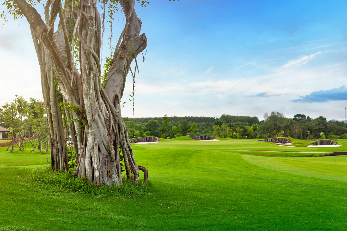 Top 3 recommended golf course reservations in Phuket, Thailand! (Including green fee/cart fee/caddy fee)