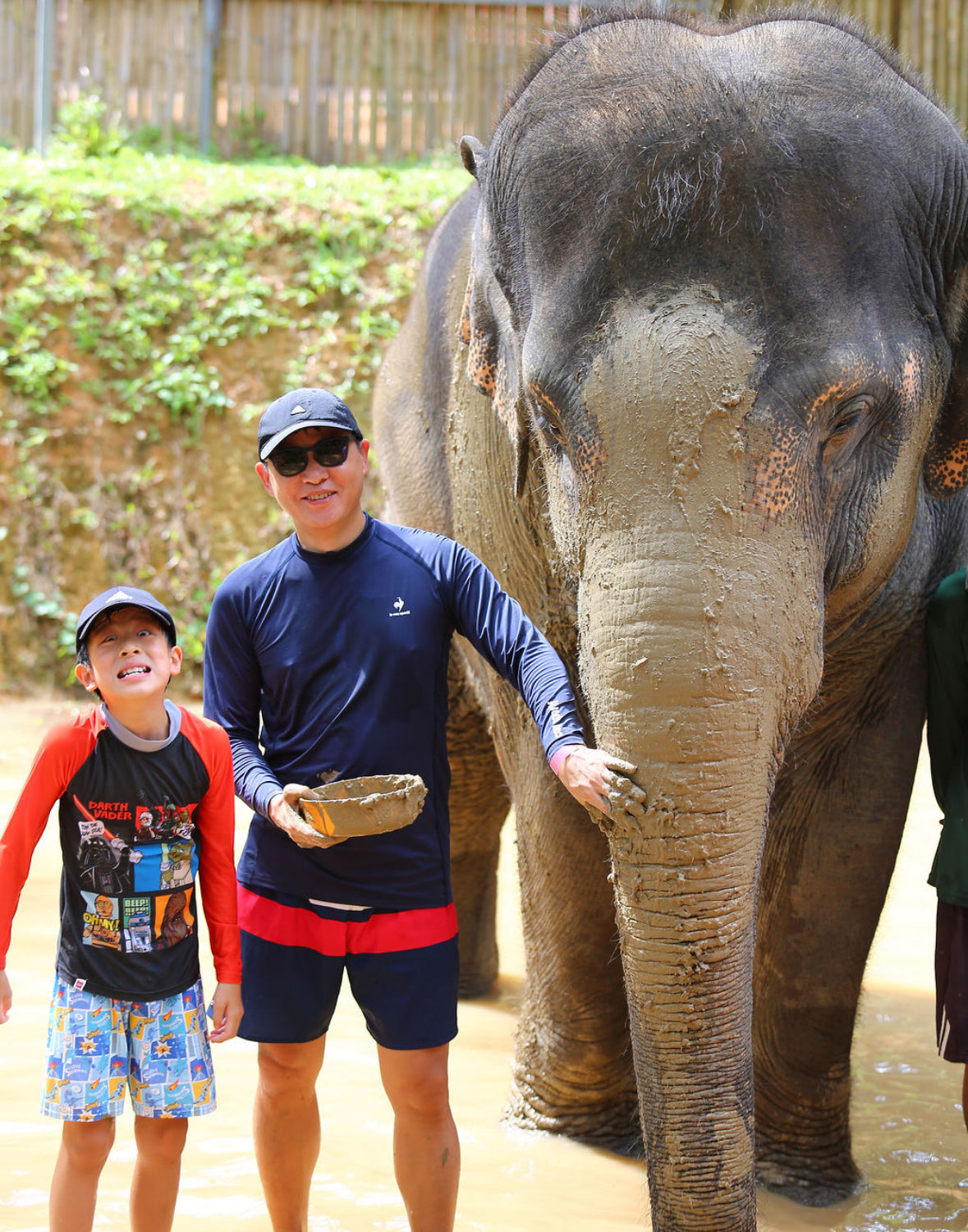 태국 푸켓 오리지날 코끼리 보호소 - 엘리펀트 정글 생츄어리