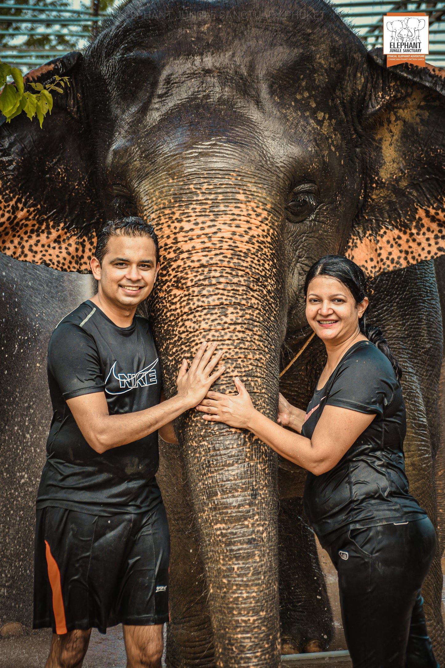 태국 푸켓 오리지날 코끼리 보호소 - 엘리펀트 정글 생츄어리