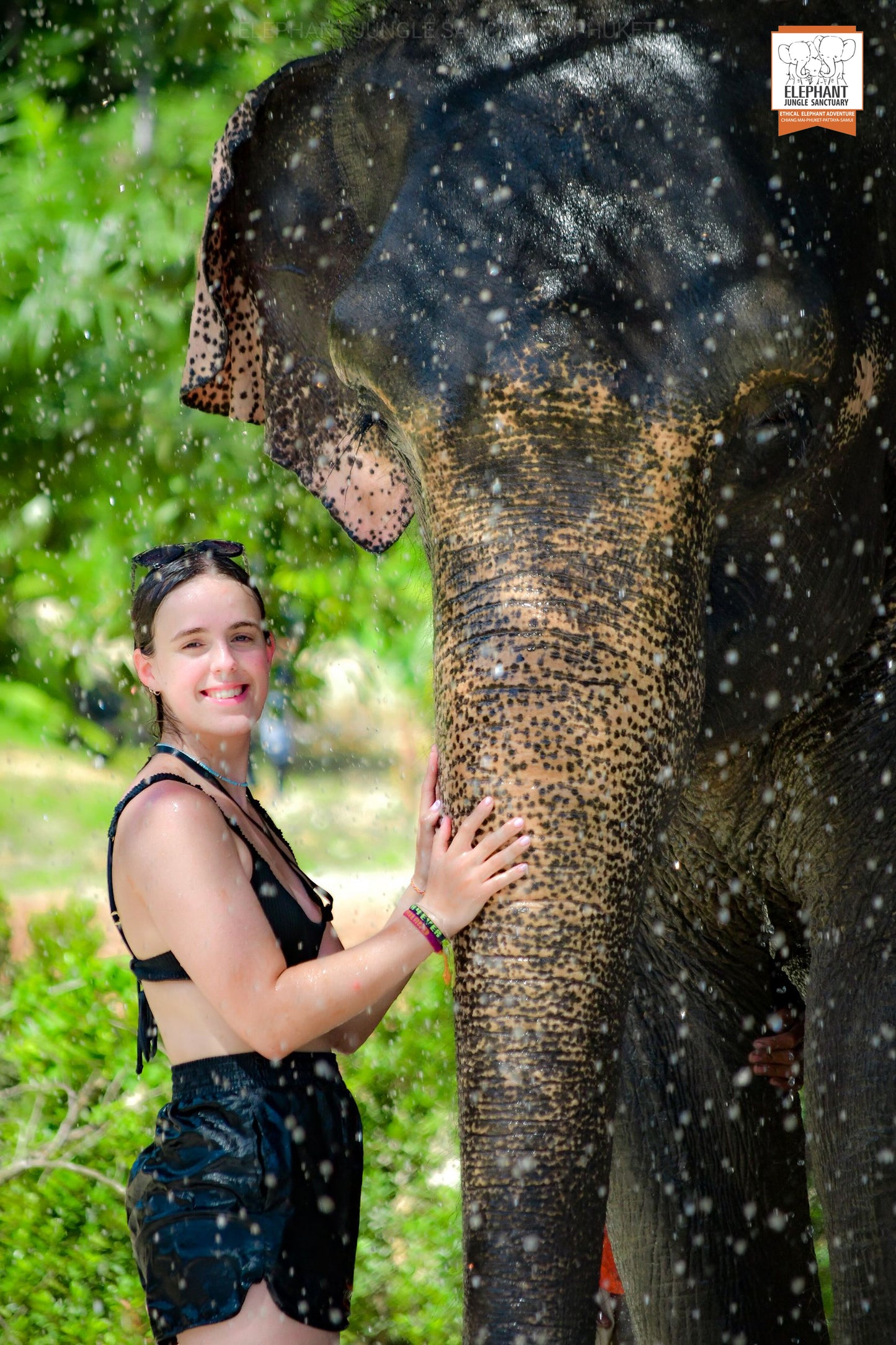 태국 푸켓 오리지날 코끼리 보호소 - 엘리펀트 정글 생츄어리