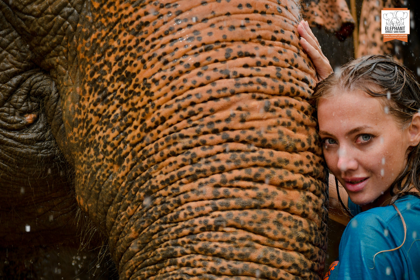 태국 푸켓 오리지날 코끼리 보호소 - 엘리펀트 정글 생츄어리
