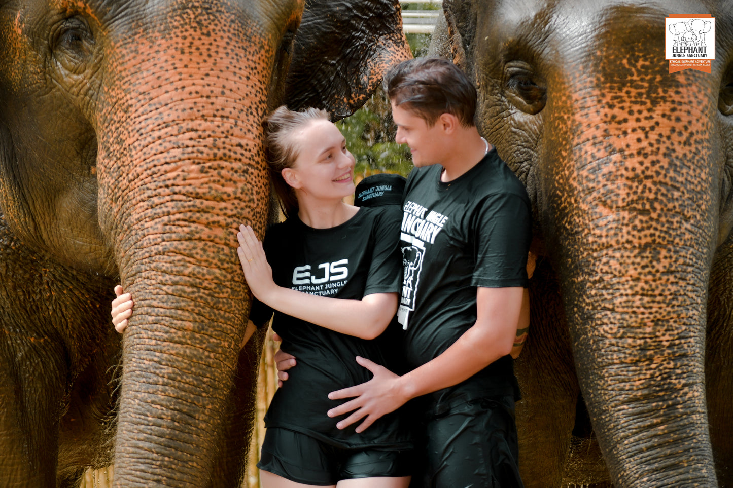 태국 푸켓 오리지날 코끼리 보호소 - 엘리펀트 정글 생츄어리