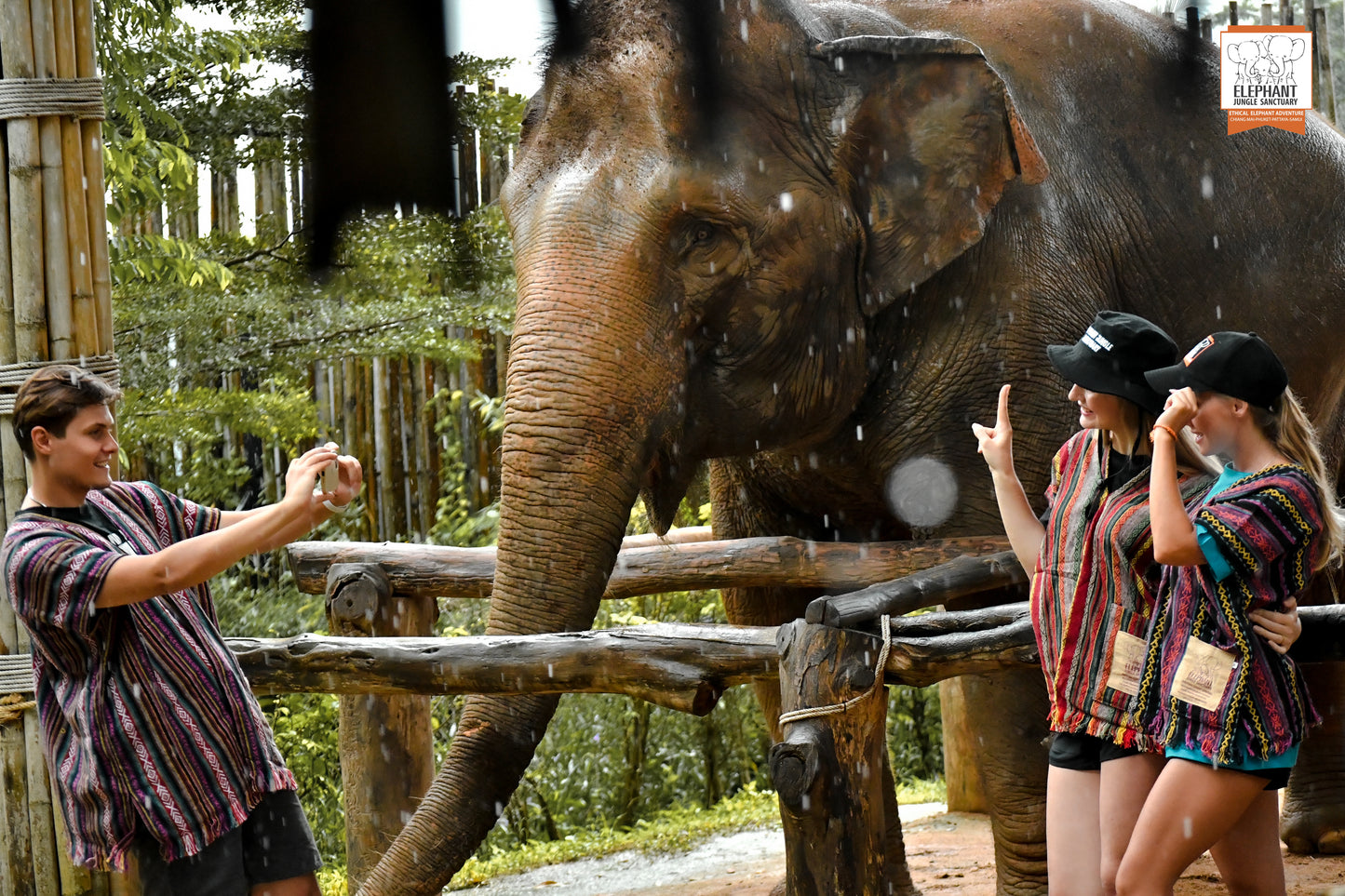 태국 푸켓 오리지날 코끼리 보호소 - 엘리펀트 정글 생츄어리
