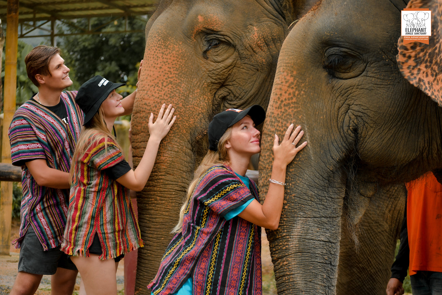 태국 푸켓 오리지날 코끼리 보호소 - 엘리펀트 정글 생츄어리
