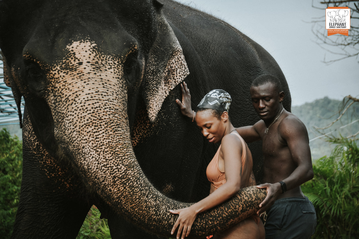 태국 푸켓 오리지날 코끼리 보호소 - 엘리펀트 정글 생츄어리