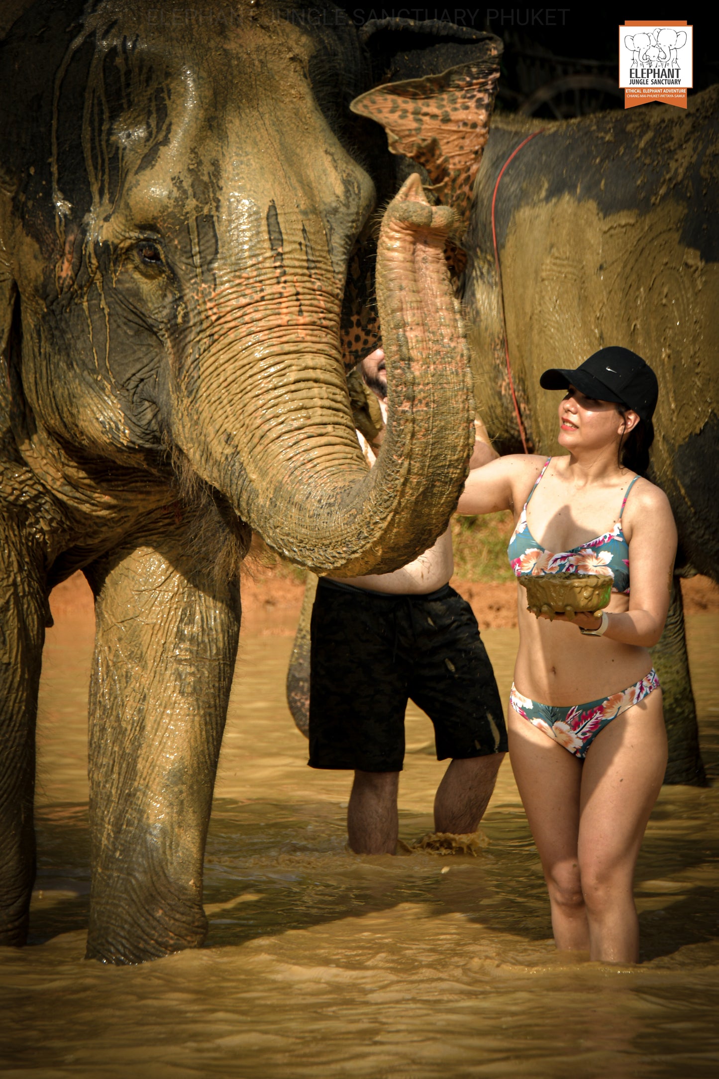 태국 푸켓 오리지날 코끼리 보호소 - 엘리펀트 정글 생츄어리