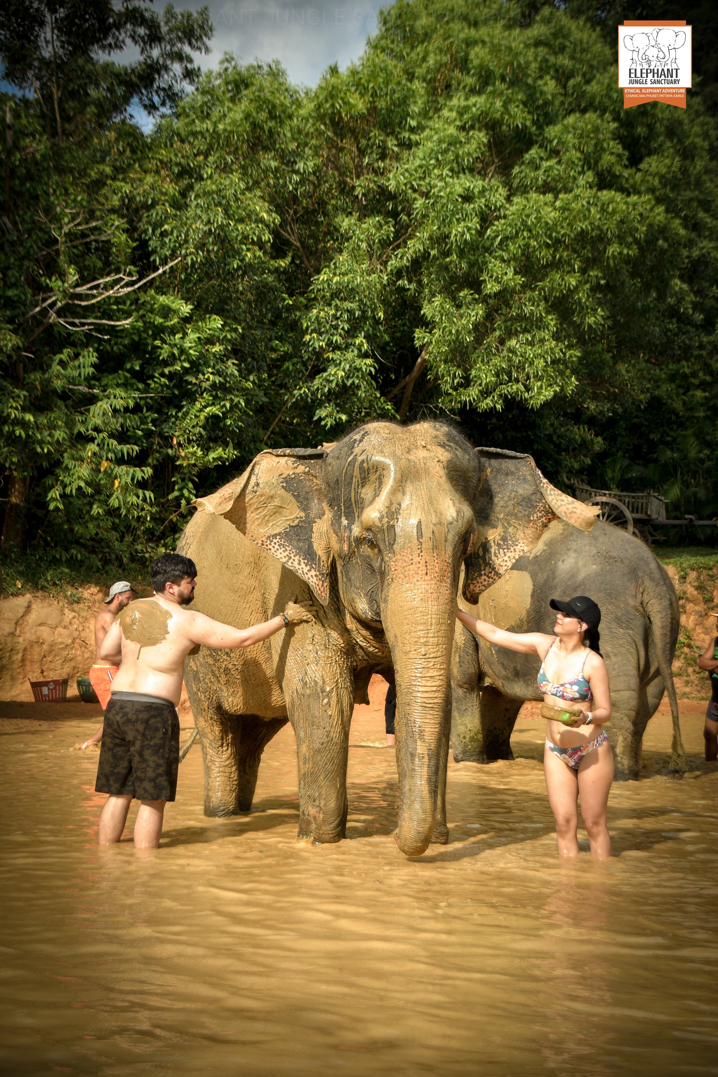 태국 푸켓 오리지날 코끼리 보호소 - 엘리펀트 정글 생츄어리