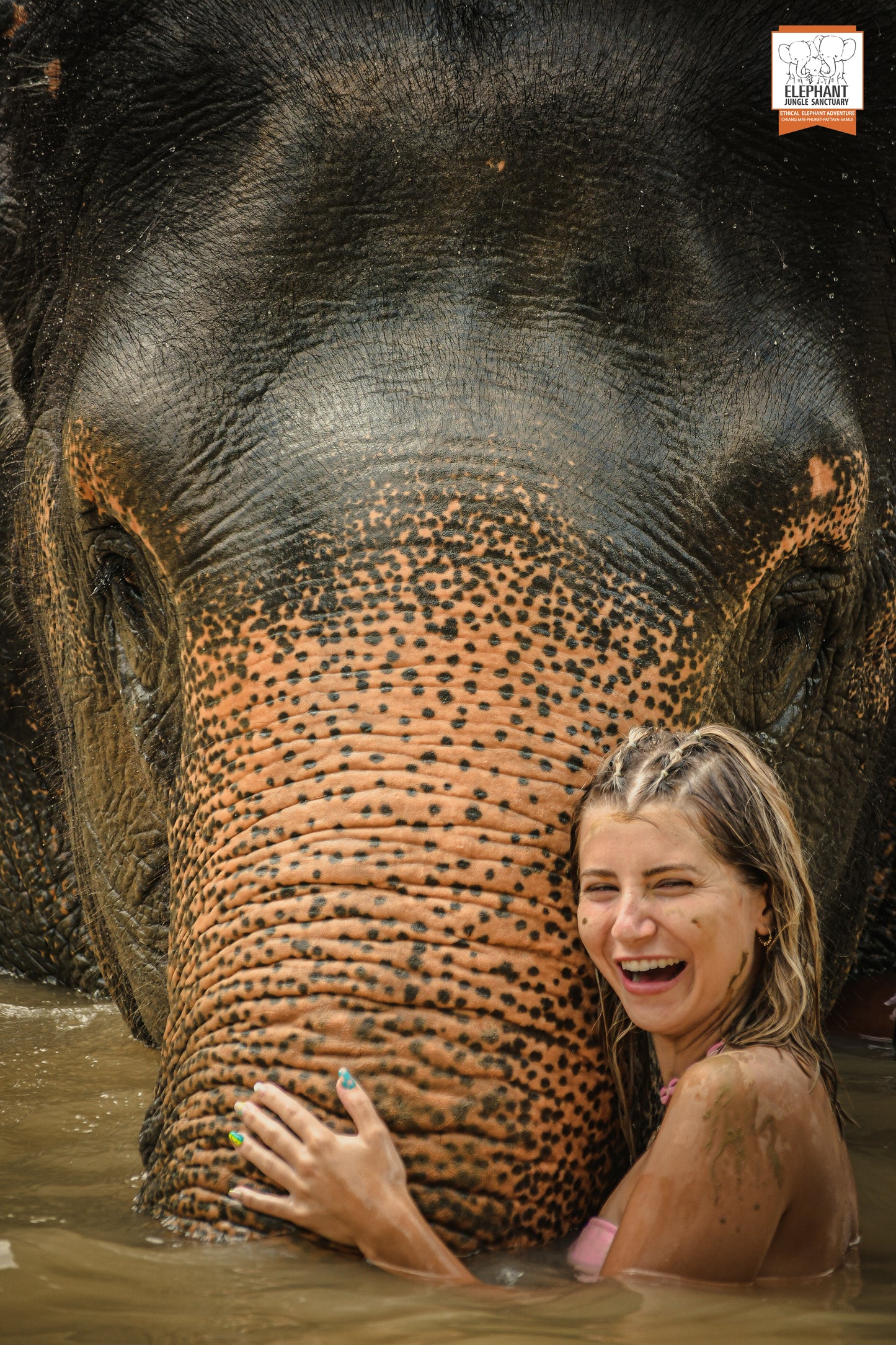 태국 푸켓 오리지날 코끼리 보호소 - 엘리펀트 정글 생츄어리