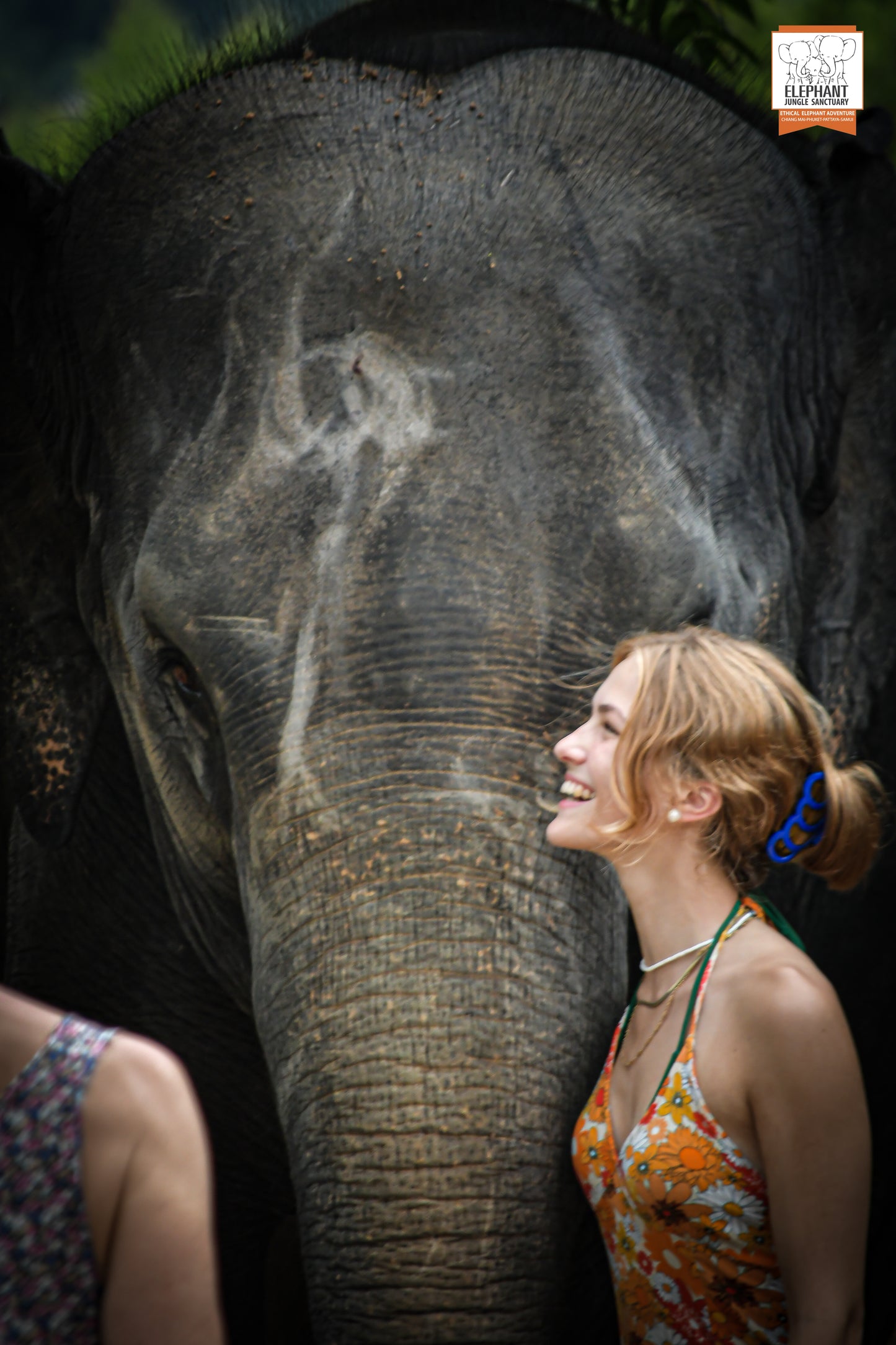 태국 푸켓 오리지날 코끼리 보호소 - 엘리펀트 정글 생츄어리