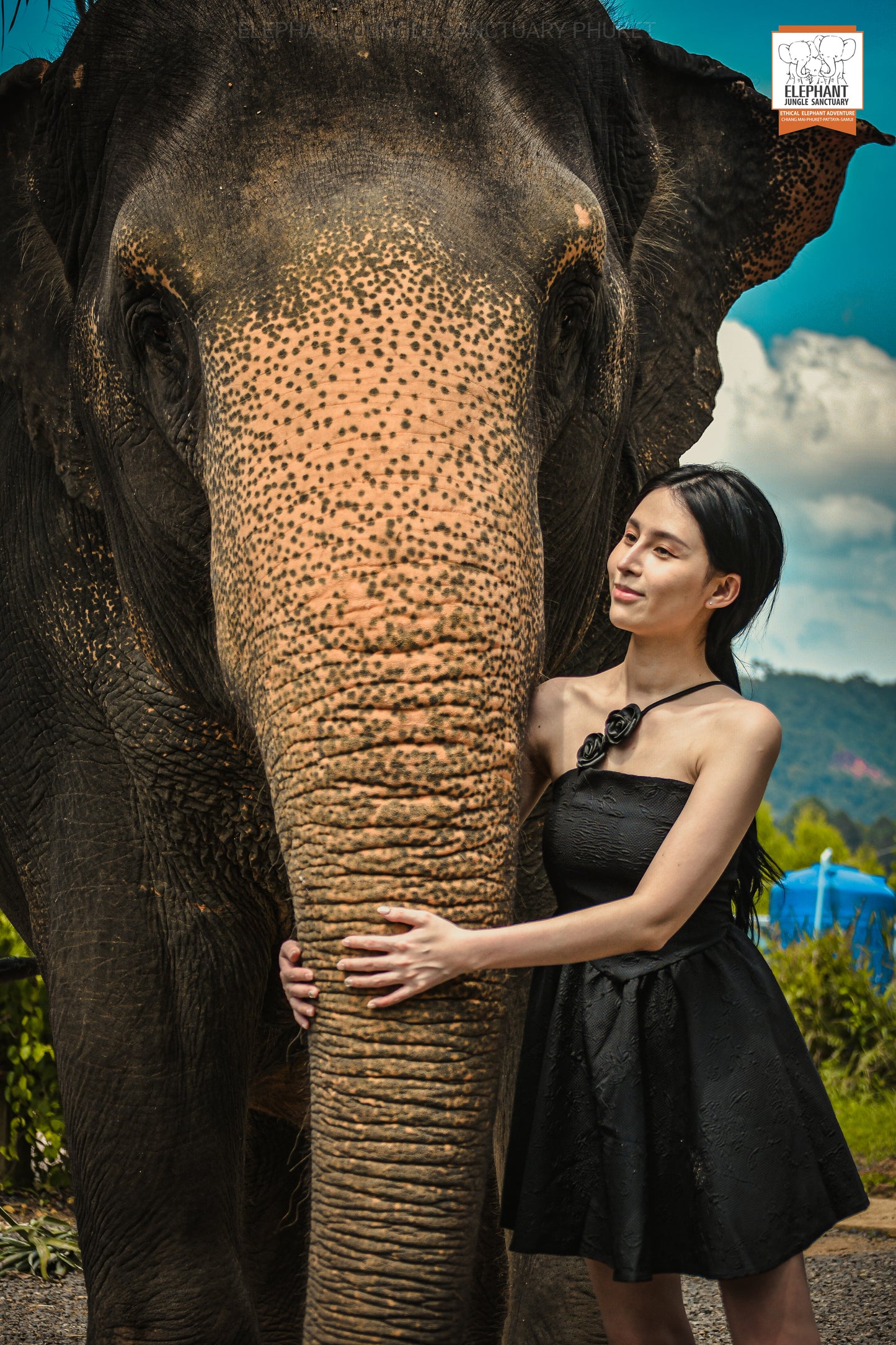 태국 푸켓 오리지날 코끼리 보호소 - 엘리펀트 정글 생츄어리