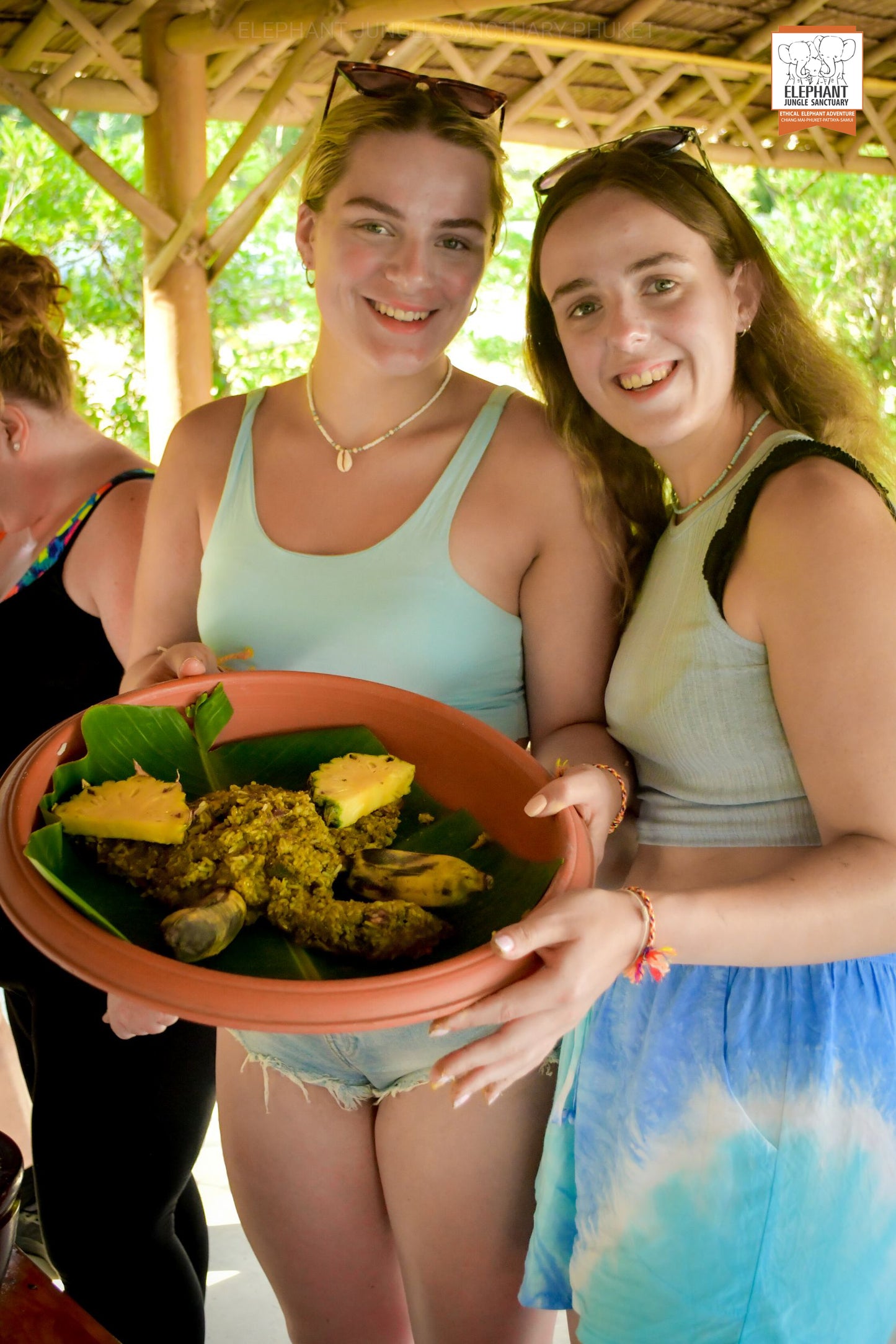 태국 푸켓 오리지날 코끼리 보호소 - 엘리펀트 정글 생츄어리