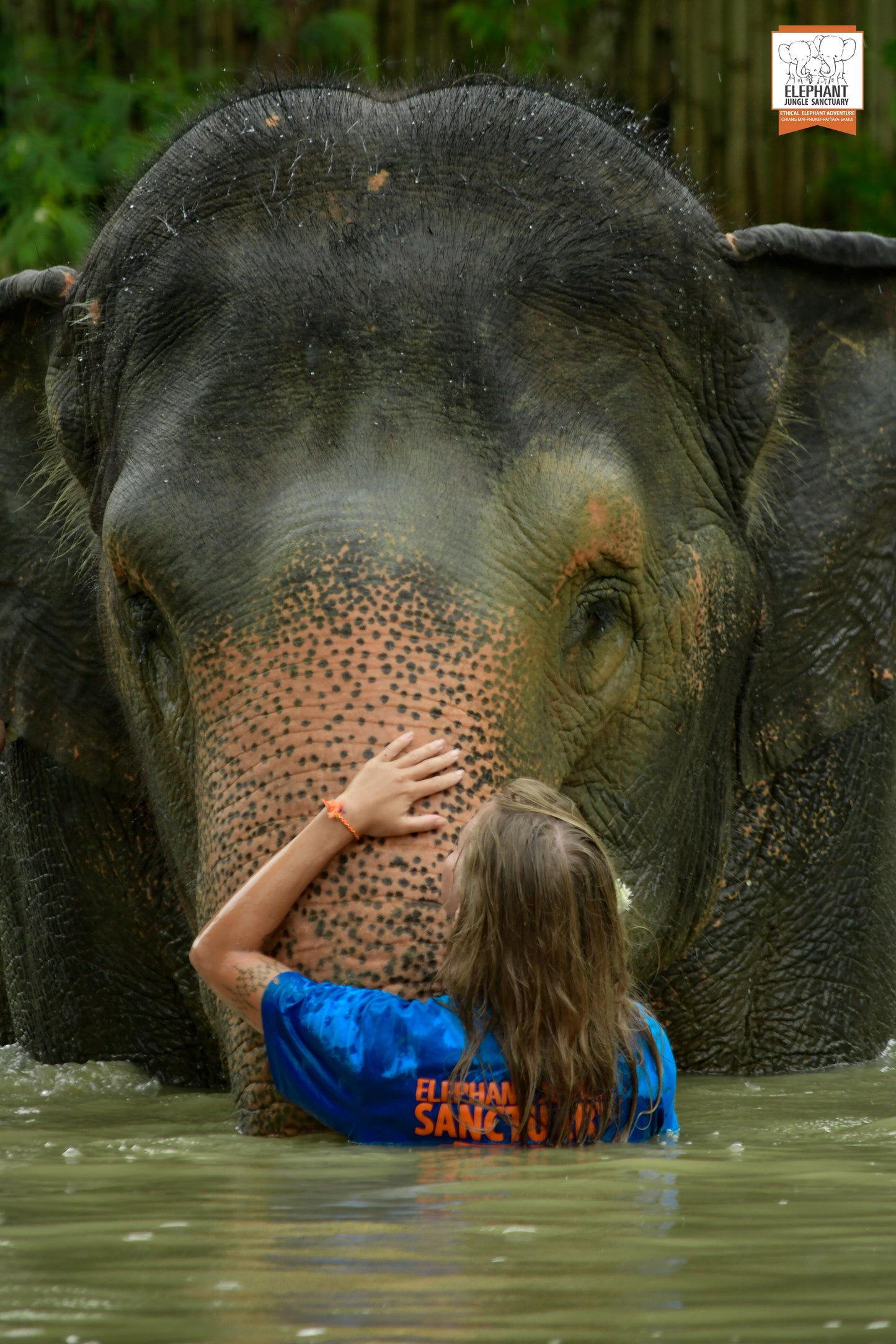 태국 푸켓 오리지날 코끼리 보호소 - 엘리펀트 정글 생츄어리