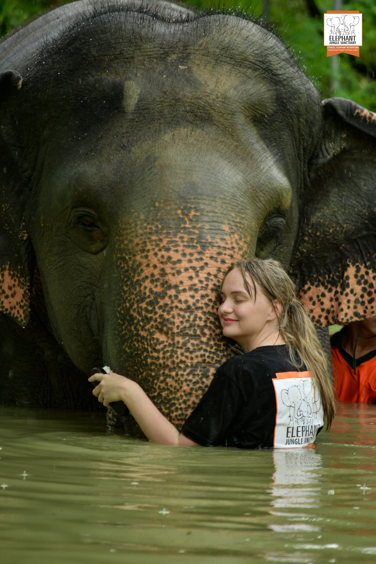태국 푸켓 오리지날 코끼리 보호소 - 엘리펀트 정글 생츄어리