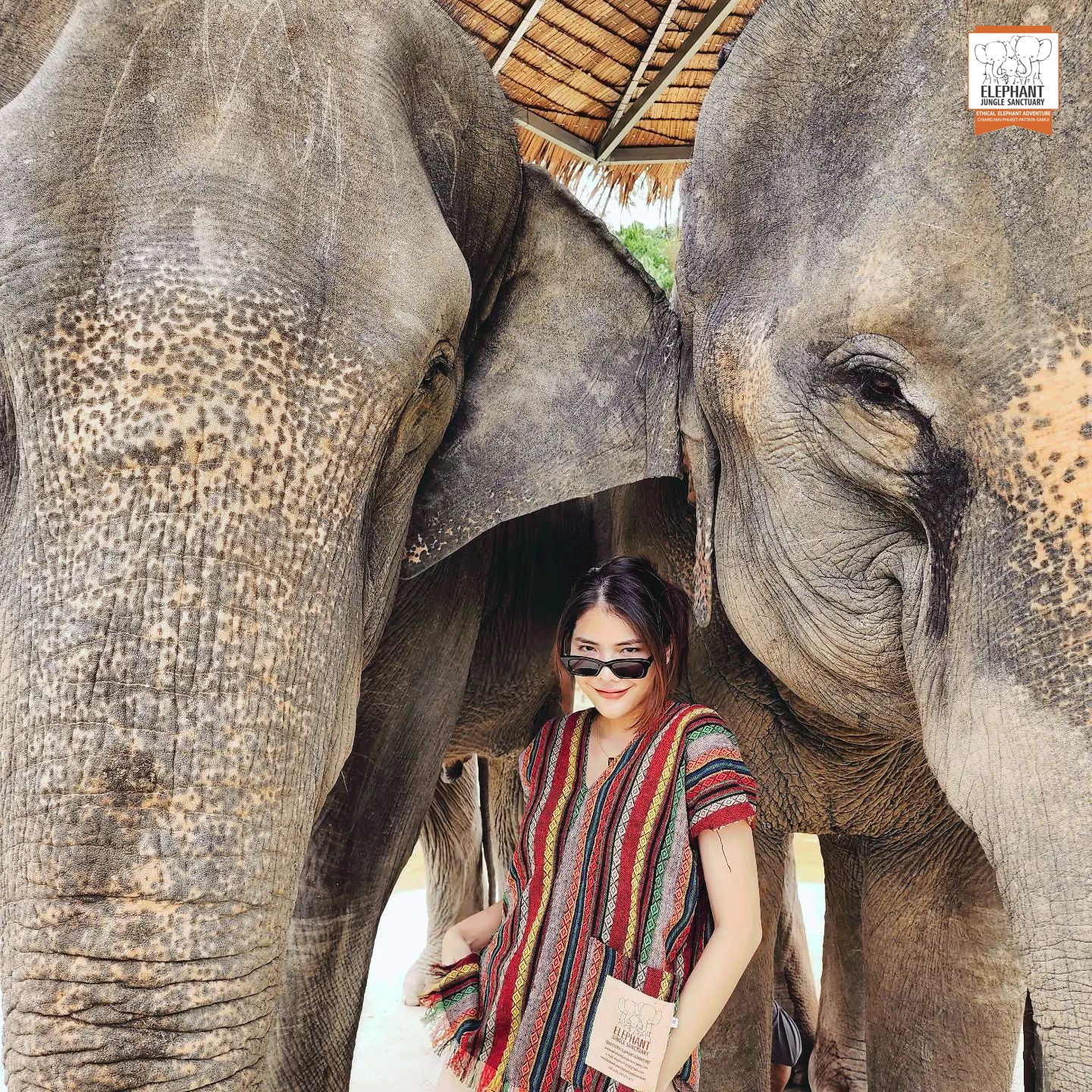 태국 푸켓 오리지날 코끼리 보호소 - 엘리펀트 정글 생츄어리