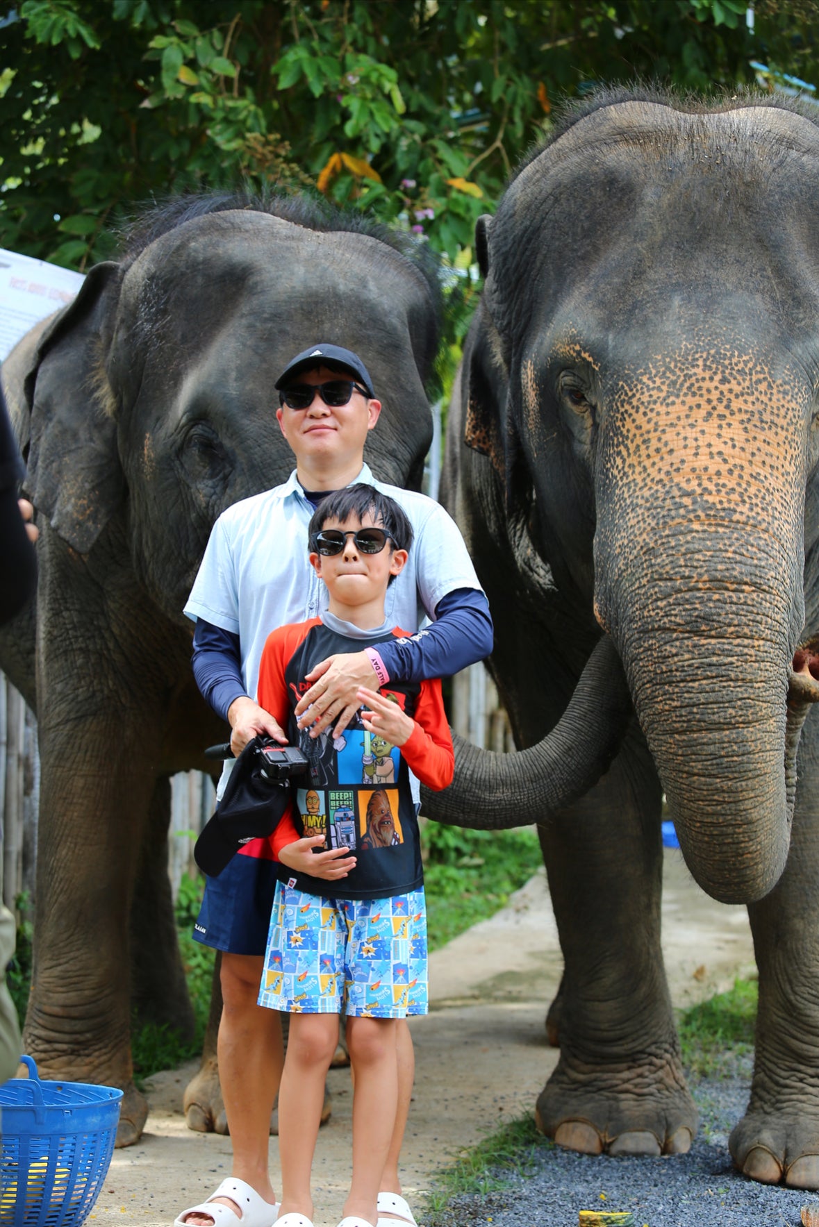 태국 푸켓 오리지날 코끼리 보호소 - 엘리펀트 정글 생츄어리