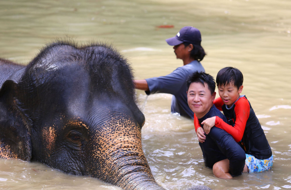 태국 푸켓 오리지날 코끼리 보호소 - 엘리펀트 정글 생츄어리