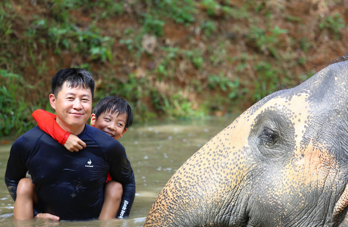 태국 푸켓 오리지날 코끼리 보호소 - 엘리펀트 정글 생츄어리