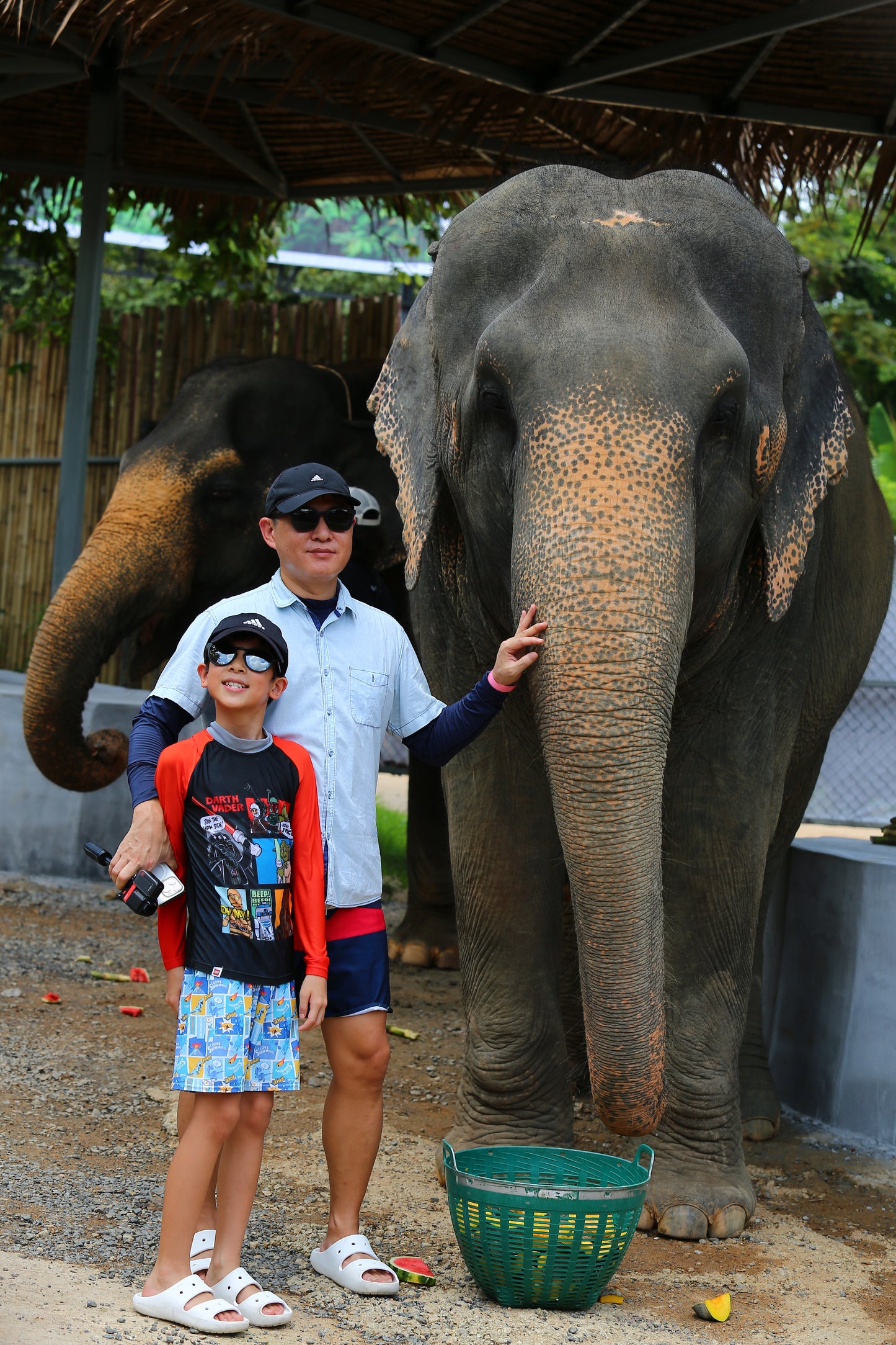 태국 푸켓 오리지날 코끼리 보호소 - 엘리펀트 정글 생츄어리